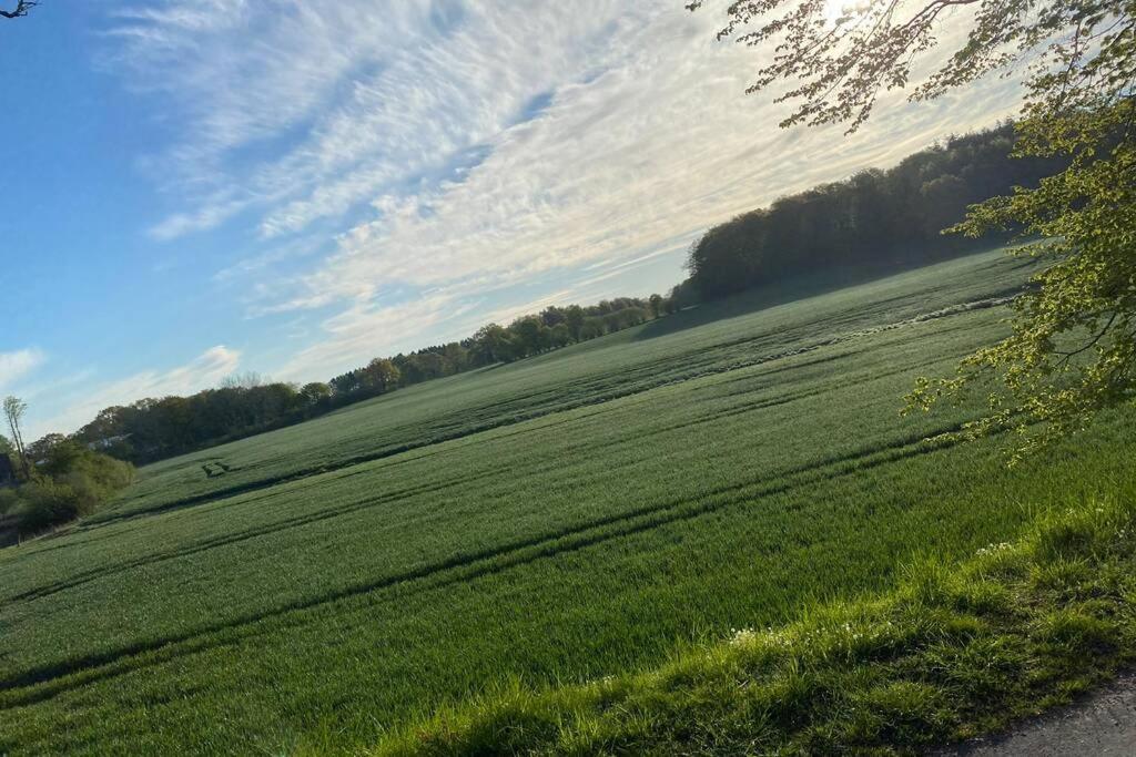 Schoene Wohnung Mit Garten Beim Outletcenter 5 Km Boostedt Exteriör bild